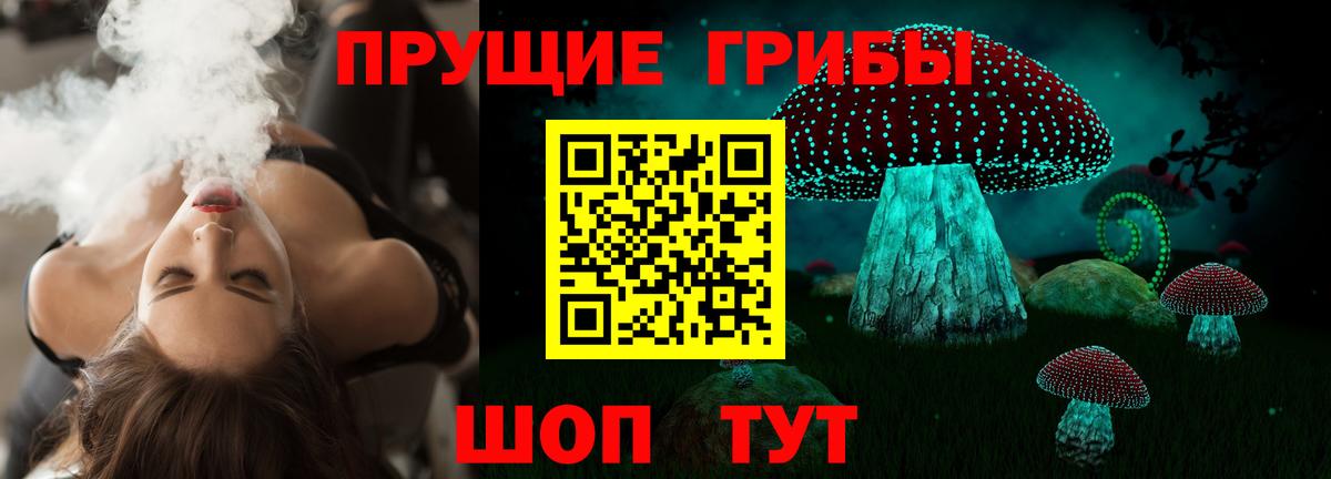 Псилоцибиновые грибы Psilocybe Мариинск